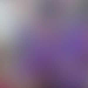 Meet your Posher, Ana